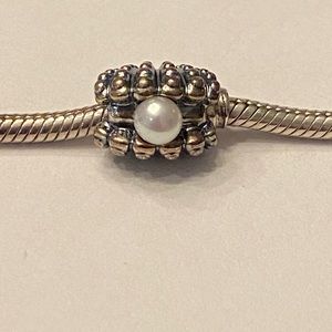 Pandora charm